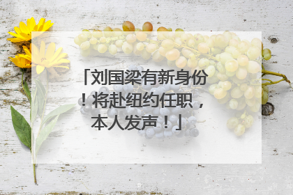 刘国梁有新身份！将赴纽约任职，本人发声！